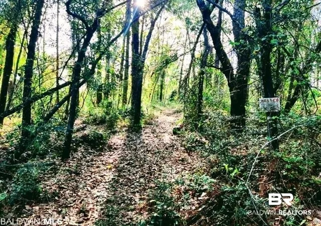 Photo 3 of Land for sale at 33003 Albert Hollon Ln, Lillian, AL 36549 | MLS# 397301 | Listing updated on 2026-08-02