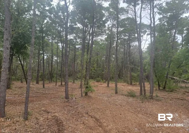 Photo 1 of Land for sale at 0 Primrose Ln, Gulf Shores, AL 36542 | MLS# 397648 | Listing updated on 2026-10-02