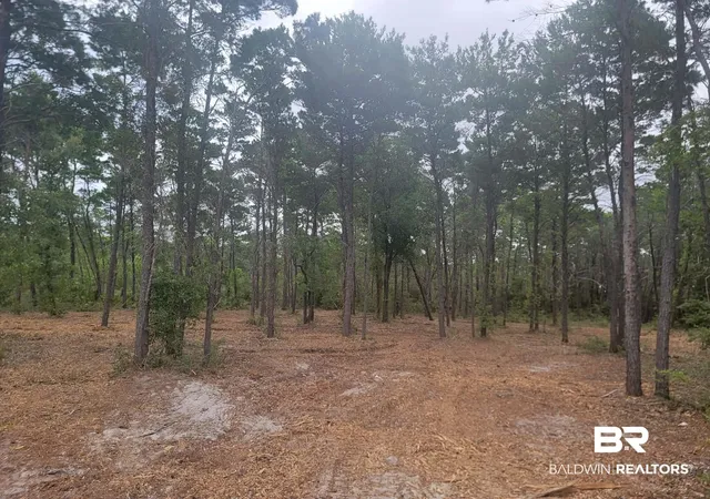 Photo 2 of Land for sale at 0 Primrose Ln, Gulf Shores, AL 36542 | MLS# 397648 | Listing updated on 2026-10-02