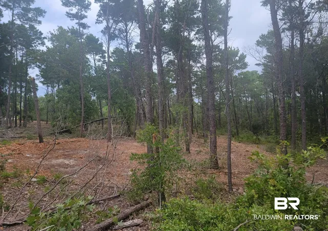 Photo 3 of Land for sale at 0 Primrose Ln, Gulf Shores, AL 36542 | MLS# 397648 | Listing updated on 2026-10-02