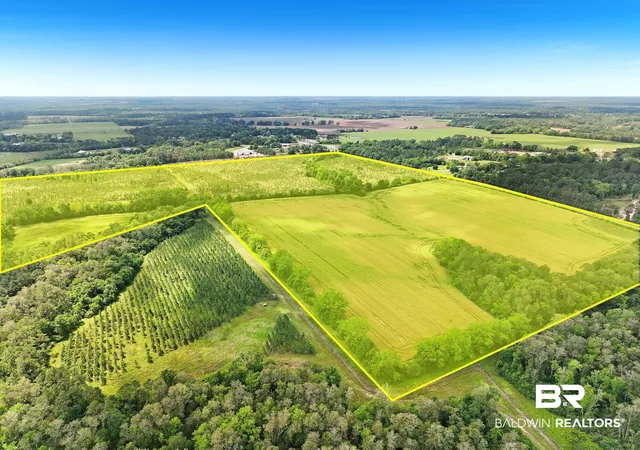 Photo 3 of Land for sale at 22500 US Hwy 90, Robertsdale, AL 36567 | MLS# 378573 | Listing updated on 2026-08-04