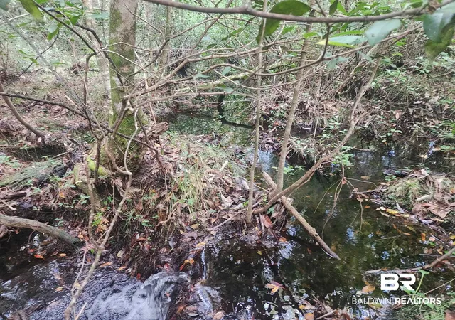Photo 13 of Land for sale at 0 Joe Hall Rd, Bay Minette, AL 36507 | MLS# 398822 | Listing updated on 2026-08-17