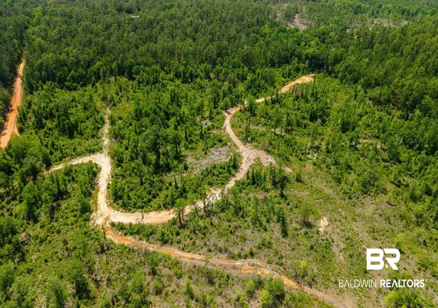 Photo 2 of Land for sale at 0 Joe Hall Rd, Bay Minette, AL 36507 | MLS# 398822 | Listing updated on 2026-08-17