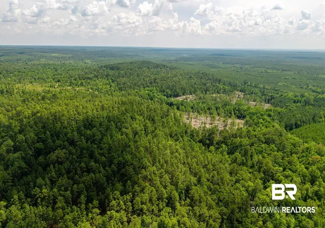 Photo 2 of Land for sale at 0 Joe Hall Rd, Bay Minette, AL 36507 | MLS# 398822 | Listing updated on 2026-08-17