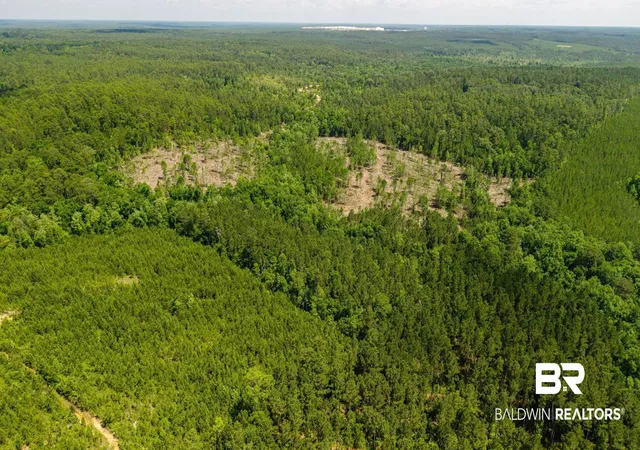 Photo 3 of Land for sale at 0 Joe Hall Rd, Bay Minette, AL 36507 | MLS# 398822 | Listing updated on 2026-08-17