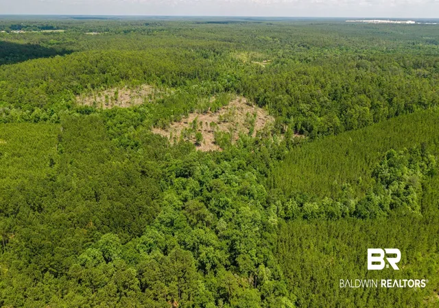 Photo 4 of Land for sale at 0 Joe Hall Rd, Bay Minette, AL 36507 | MLS# 398822 | Listing updated on 2026-08-17