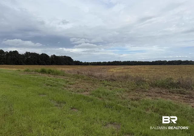 Photo 2 of Land for sale at 7600 Block Bratt Rd, Century, FL 32535 | MLS# 398125 | Listing updated on 2026-09-04