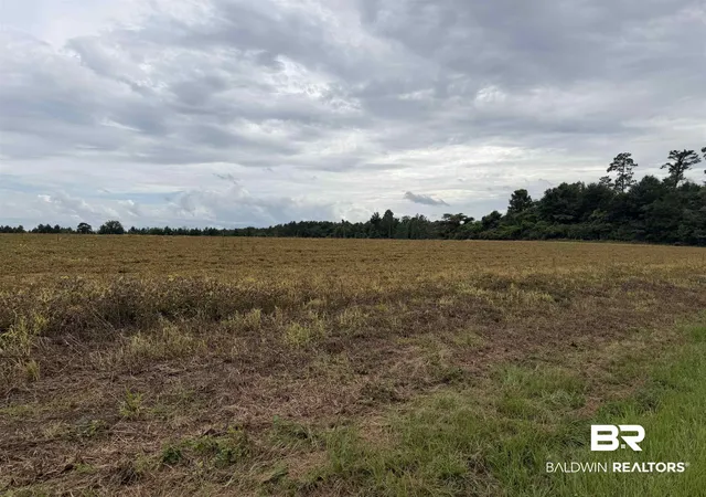 Photo 4 of Land for sale at 7600 Block Bratt Rd, Century, FL 32535 | MLS# 398125 | Listing updated on 2026-09-04