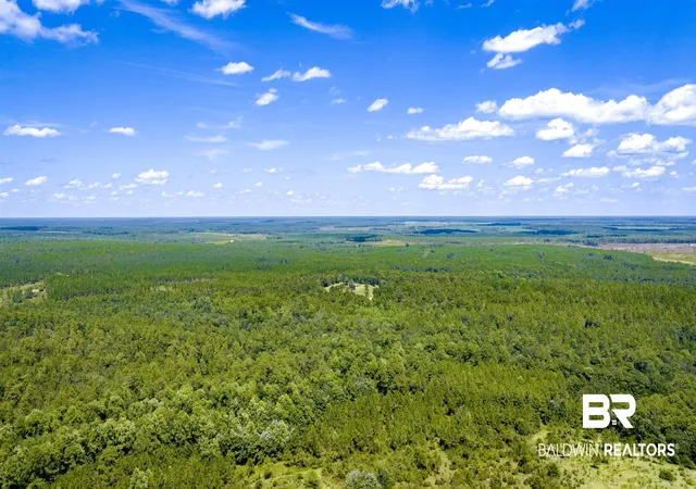 2nd image of 31512 N A River Rd, Loxley, AL 36551 | MLS# 366438