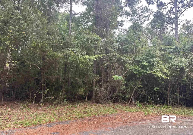 1st image of 9 Pine Ct, Saraland, AL 36571 | MLS# 398928