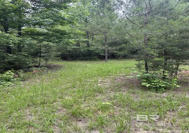 Homes for sale in Brewton, AL | Off County Road 37, Brewton, AL 36426 | MLS# 398261
