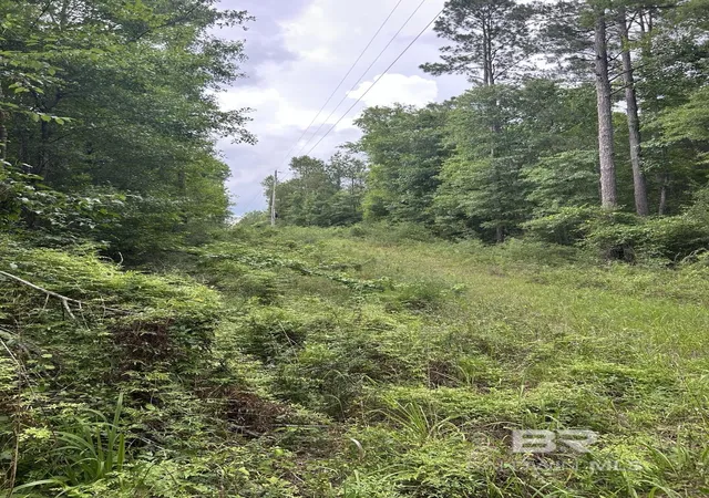 Homes for sale in Brewton, AL | Off County Road 37, Brewton, AL 36426 | MLS# 398261