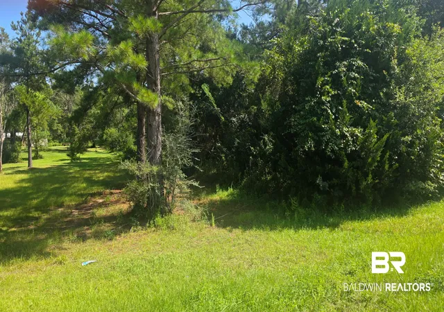 Photo 3 of Land for sale at 22003 County Rd 68 N, Robertsdale, AL 36567 | MLS# 409296 | Listing updated on 2026-10-06