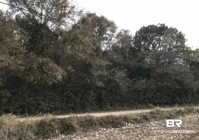 Photo 3 of Land for sale at 24050 N River Rd, Daphne, AL 36526 | MLS# 386345 | Listing updated on 2026-07-28