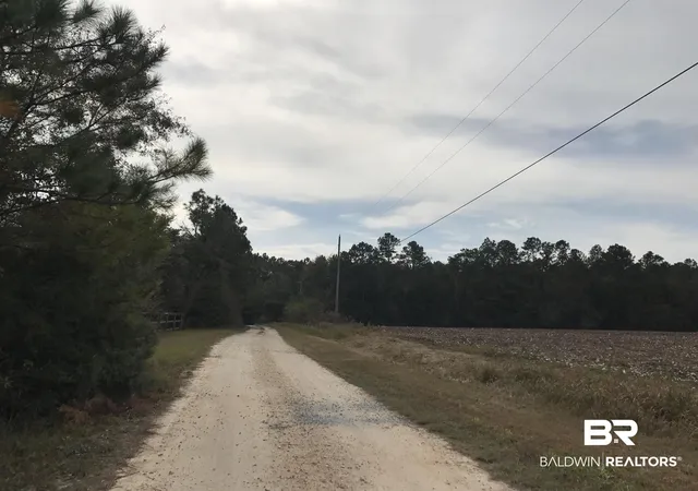 Photo 3 of Land for sale at 24050 N River Rd, Daphne, AL 36526 | MLS# 386345 | Listing updated on 2026-07-28
