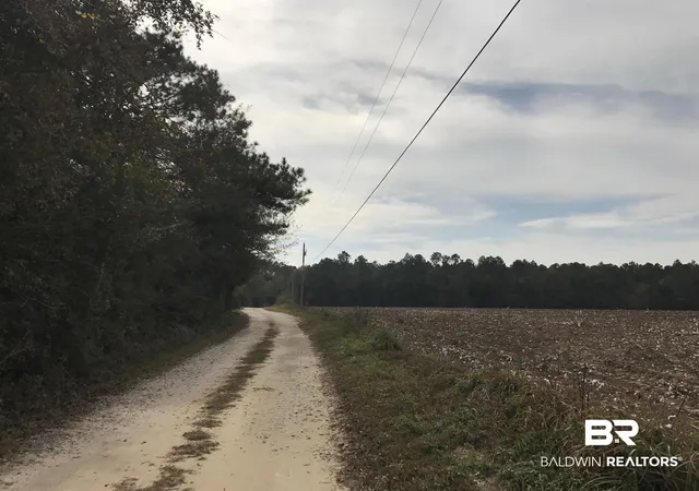 Photo 4 of Land for sale at 24050 N River Rd, Daphne, AL 36526 | MLS# 386345 | Listing updated on 2026-07-28