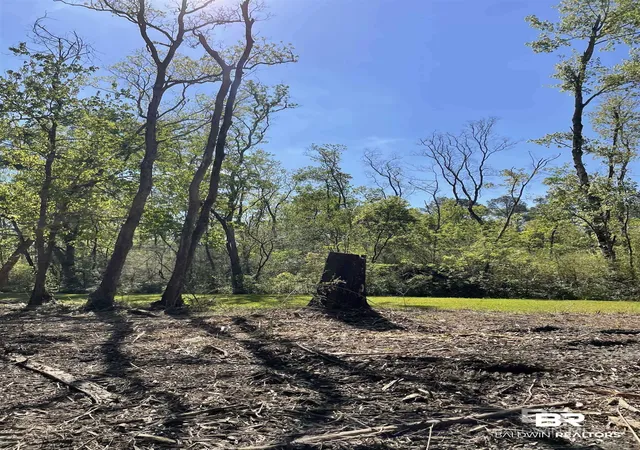 Photo 3 of Land for sale at 435 Cee Bee St, Robertsdale, AL 36567 | MLS# 394136 | Listing updated on 2026-09-22