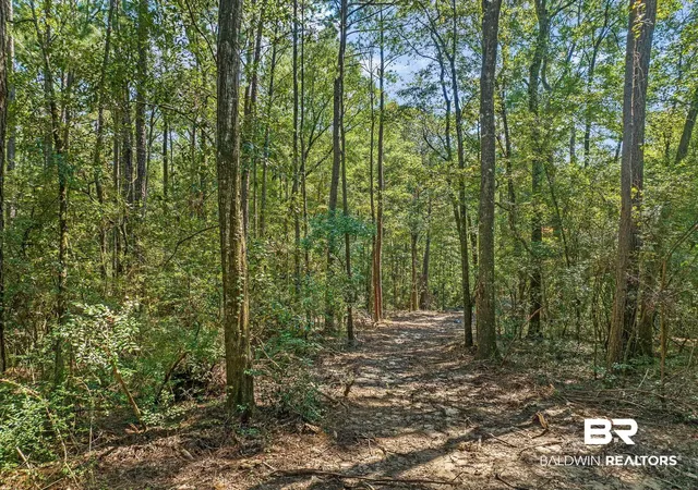 Photo 2 of Land for sale at 6917 Old Citronelle Hwy, Eight Mile, AL 36613 | MLS# 396846 | Listing updated on 2026-07-28