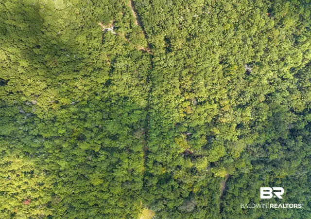 Photo 3 of Land for sale at 6917 Old Citronelle Hwy, Eight Mile, AL 36613 | MLS# 396846 | Listing updated on 2026-07-28