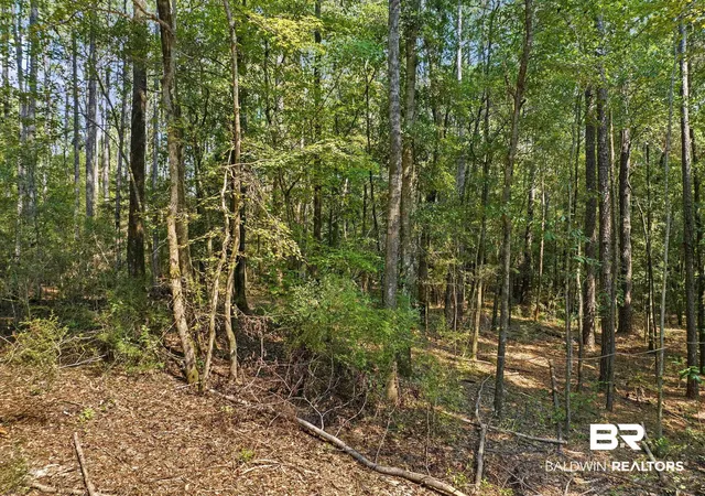 Photo 4 of Land for sale at 6917 Old Citronelle Hwy, Eight Mile, AL 36613 | MLS# 396846 | Listing updated on 2026-07-28