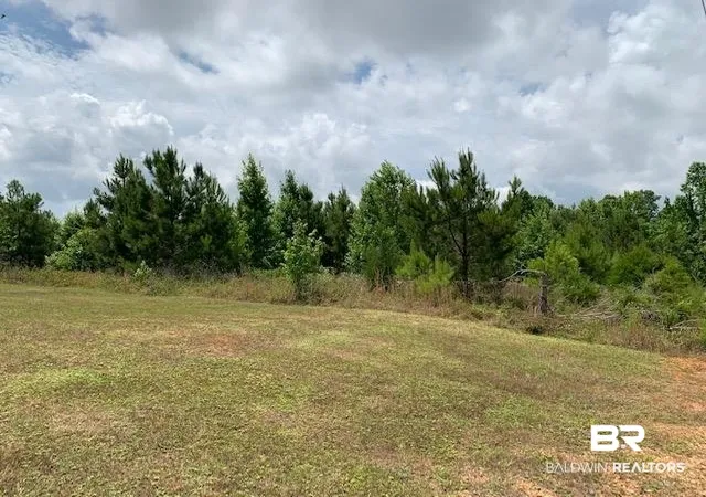 1st image of 19600 Block Hwy 43, Grove Hill, AL 36451 | MLS# 322607