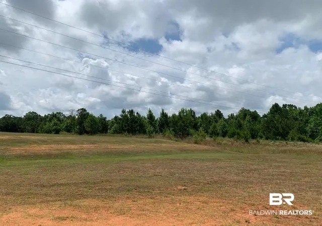 3rd image of 19600 Block Hwy 43, Grove Hill, AL 36451 | MLS# 322607