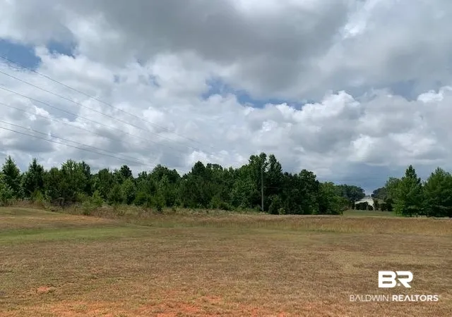 4th image of 19600 Block Hwy 43, Grove Hill, AL 36451 | MLS# 322607