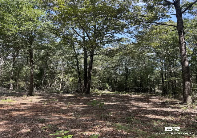 Photo 3 of Land for sale at 0 Dixie Rd, Brewton, AL 36426 | MLS# 388312 | Listing updated on 2026-08-17