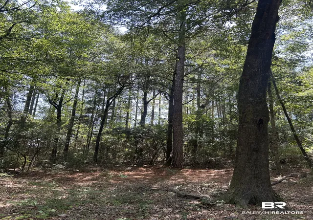 Photo 3 of Land for sale at 0 Dixie Rd, Brewton, AL 36426 | MLS# 388312 | Listing updated on 2026-08-17