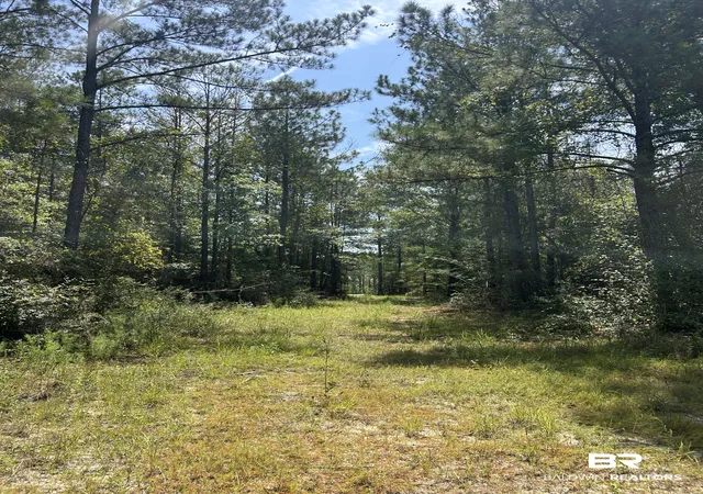 Photo 4 of Land for sale at 0 Dixie Rd, Brewton, AL 36426 | MLS# 388312 | Listing updated on 2026-08-17