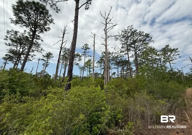 Land for sale at 6589-1 Aegean Dr, Milton, FL 32583 | MLS# 408984