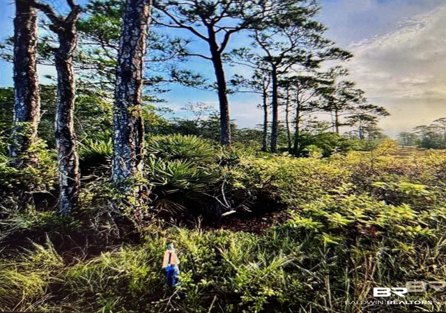 Photo 1 of Land for sale at 0 Gulf Crst Dr, Gulf Shores, AL 36542 | MLS# 391515 | Listing updated on 2026-08-03