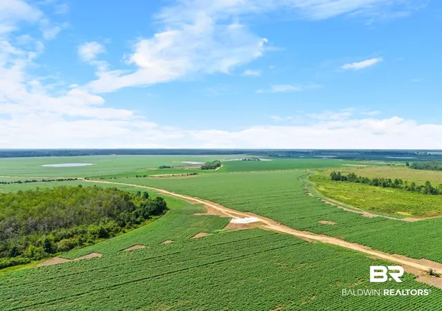 10th image of 0 Manning Rd, Atmore, AL 36502 | MLS# 406762