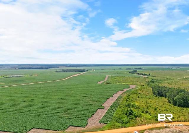 2nd image of 0 Manning Rd, Atmore, AL 36502 | MLS# 406762