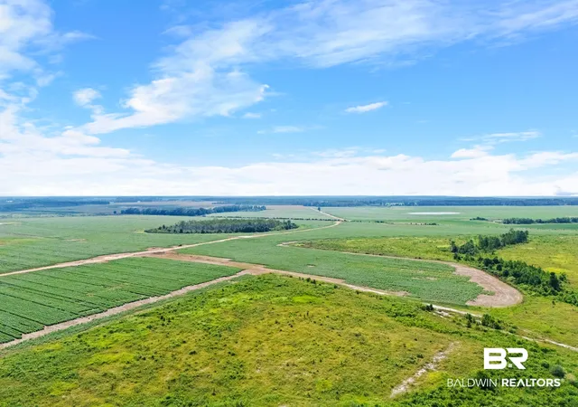 4th image of 0 Manning Rd, Atmore, AL 36502 | MLS# 406762