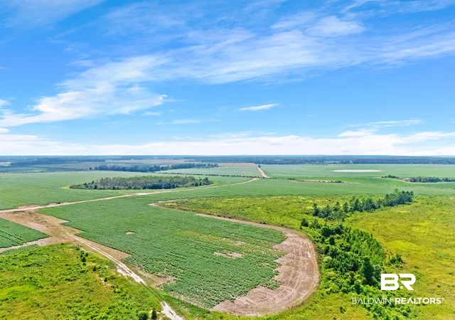 5th image of 0 Manning Rd, Atmore, AL 36502 | MLS# 406762