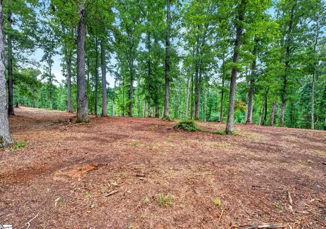 Photo 3 of House for sale at 223 W Chapman Rd #Lot 5, Belton, SC 29627 | MLS# 1599783 | Listing updated on 2026-08-24