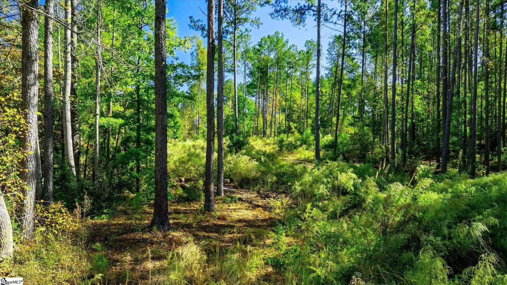Photo 1 of Land for sale at (Undisclosed), Easley, SC 29640 | MLS# 1607470 | Listing updated on 2026-10-22