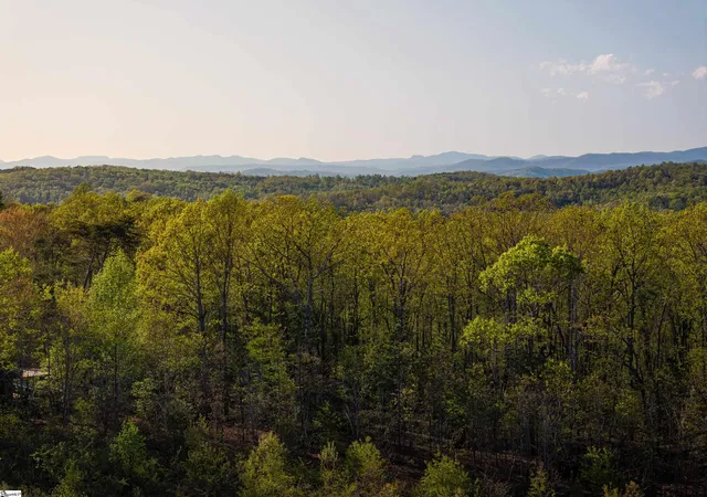 40th image of 05 Hood Rd #Lot 5, Easley, SC 29640 | MLS# 1579069