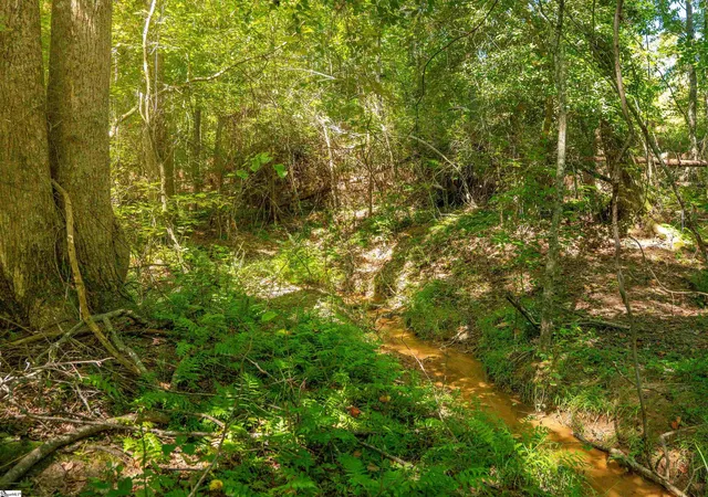 4th image of 05 Hood Rd #Lot 5, Easley, SC 29640 | MLS# 1579069