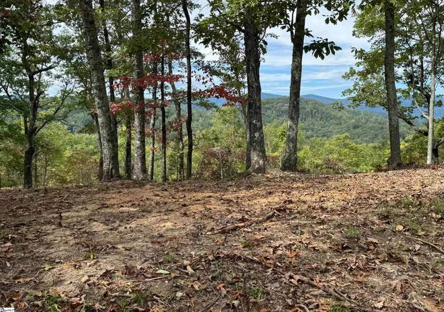 Photo 1 of Land for sale at 230 Blue Bonnet Trl, Marietta, SC 29661 | MLS# 1572105 | Listing updated on 2026-01-09