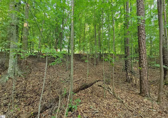 Photo 4 of Land for sale at 00 Point Rd, Westminster, SC 29693 | MLS# 1574032 | Listing updated on 2026-08-04