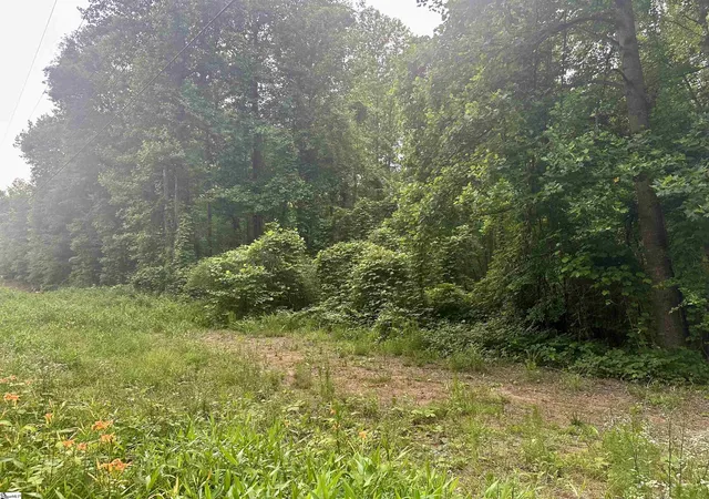 Homes for sale in Marietta, SC | Dacusville Rd, Marietta, SC 29661 | MLS# 1593476