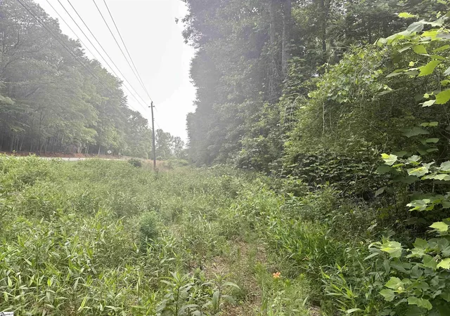 Homes for sale in Marietta, SC | Dacusville Rd, Marietta, SC 29661 | MLS# 1593476