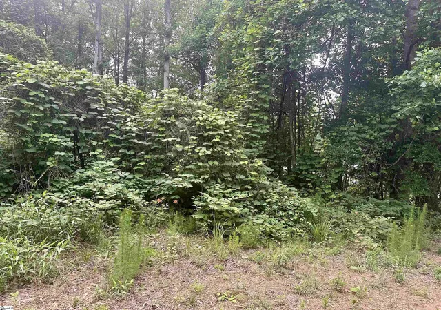 Homes for sale in Marietta, SC | Dacusville Rd, Marietta, SC 29661 | MLS# 1593476