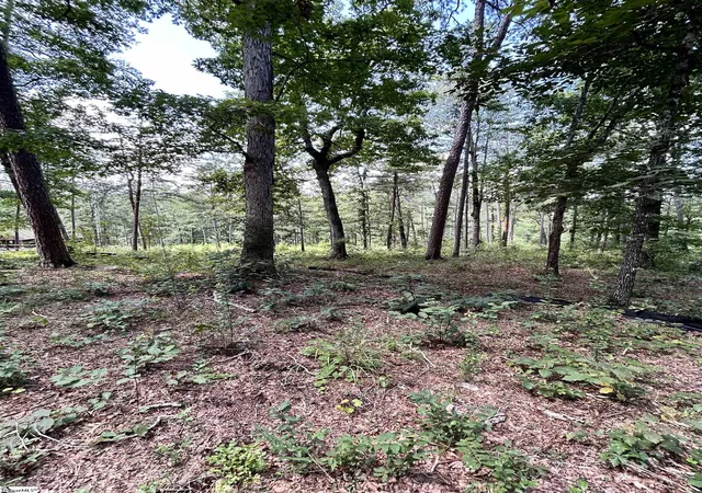 Photo 3 of Land for sale at (Undisclosed), Seneca, SC 29672 | MLS# 1601651 | Listing updated on 2026-08-21