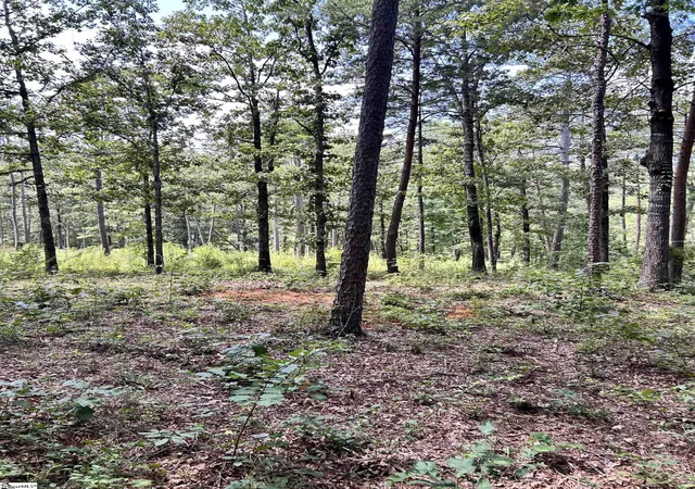 Photo 4 of Land for sale at (Undisclosed), Seneca, SC 29672 | MLS# 1601651 | Listing updated on 2026-08-21