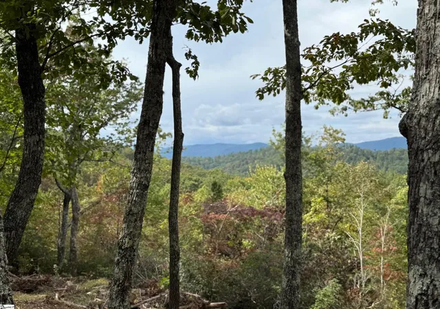 Photo 3 of Land for sale at 220 Blue Bonnet Trl, Marietta, SC 29661 | MLS# 1572104 | Listing updated on 2026-01-09