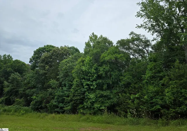 Homes for sale in Pelzer, SC | (Undisclosed), Pelzer, SC 29669 | MLS# 1596243