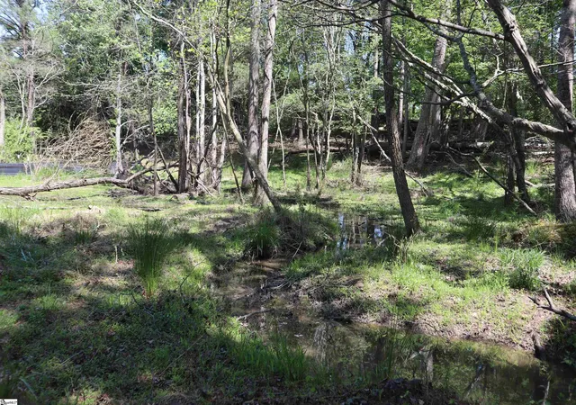 Photo 2 of Land for sale at 0 Old Canaan Tract 5 Rd, Spartanburg, SC 29306 | MLS# 1599957 | Listing updated on 2026-09-15
